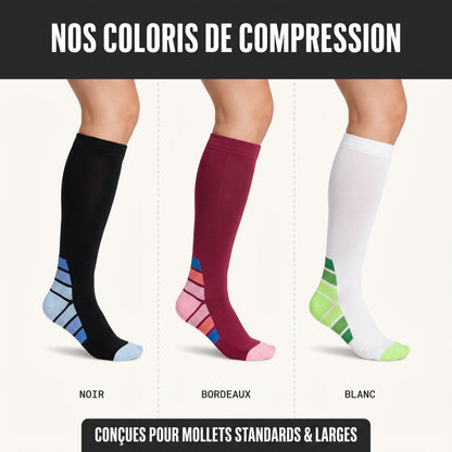 Compression en Bambou